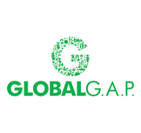 Global GAP